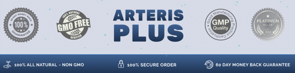 Arteris Plus certification