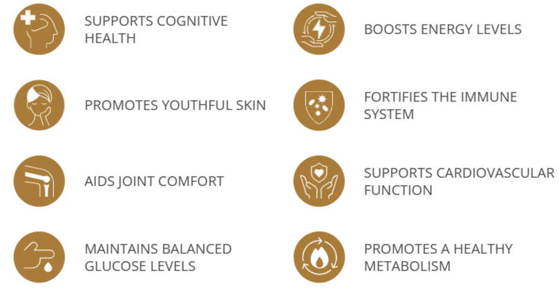 Longevity Activator Benefits