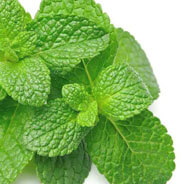 peppermint (1)